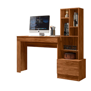 Escritorio LION